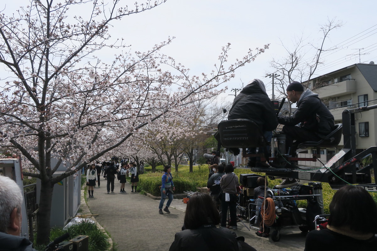 都賀川公園の桜並木を歩く朱里と由奈
